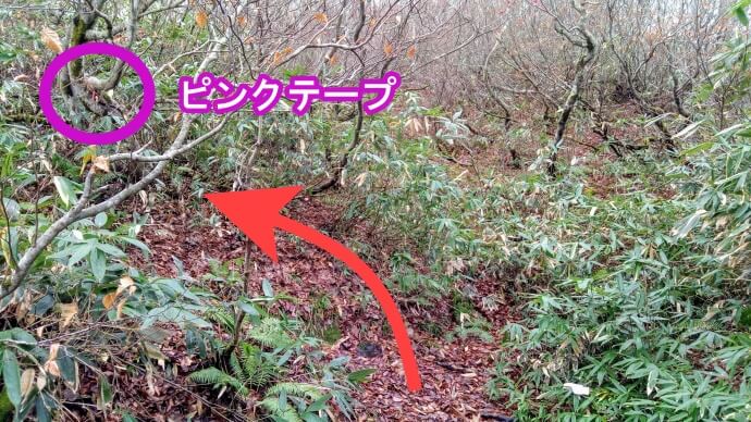 分かりにくい分岐
