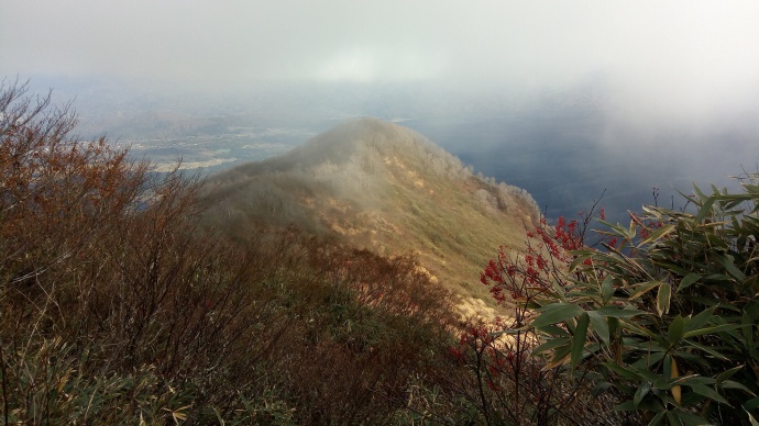 登山道からの景色