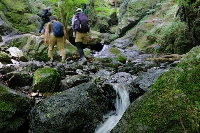 沢を歩く登山者