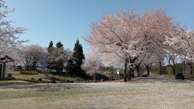 広々とした泉縄文公園