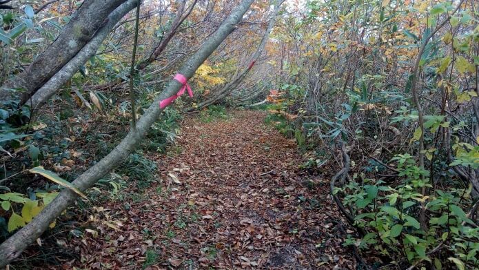 山頂直下の登山道