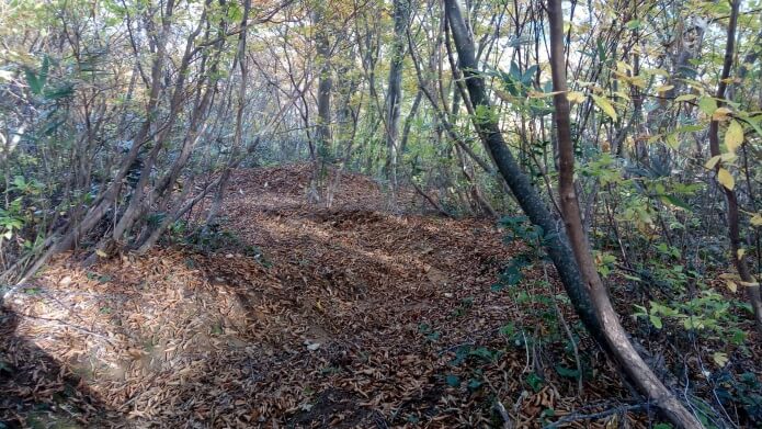 7合目から6合目の登山道