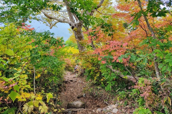 登山道中の紅葉