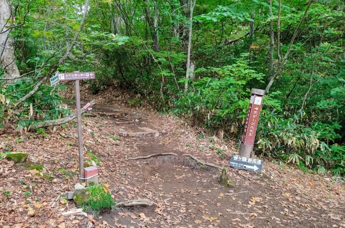 遊歩道分岐