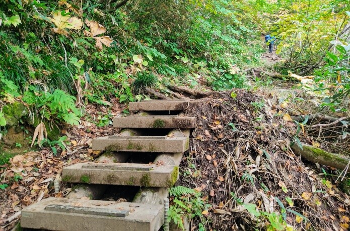 十二曲りの登山道1