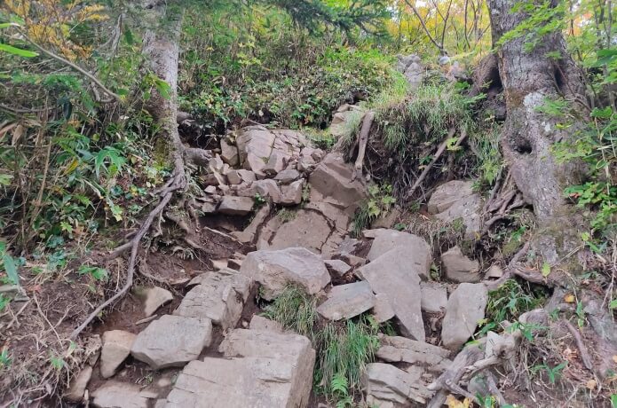 十二曲りの登山道2