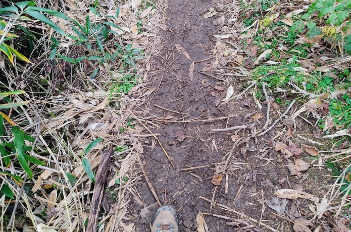 高谷池ヒュッテへの登山道2