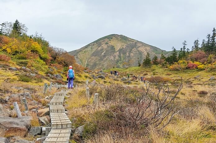 登山道