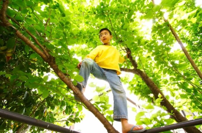 木登りする少年