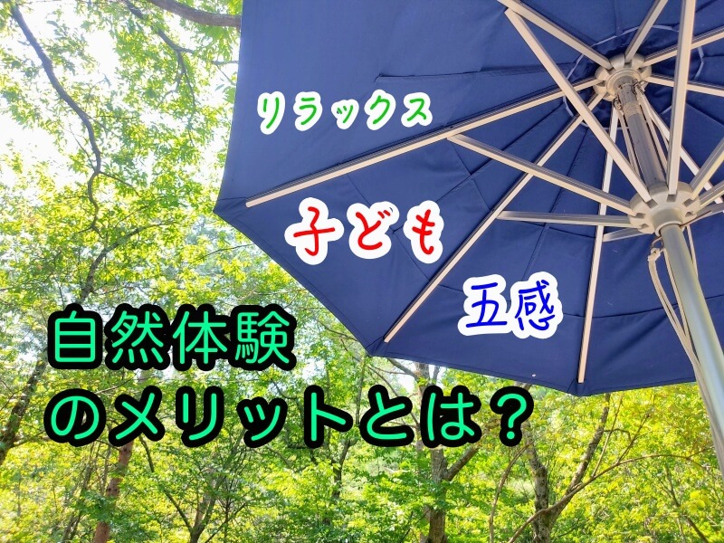 自然体験のメリットとは？ 子どもの生きる力を育むために親ができる3つのこと