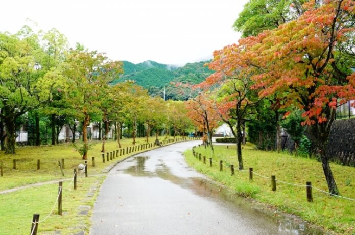 公園の雨で濡れた道