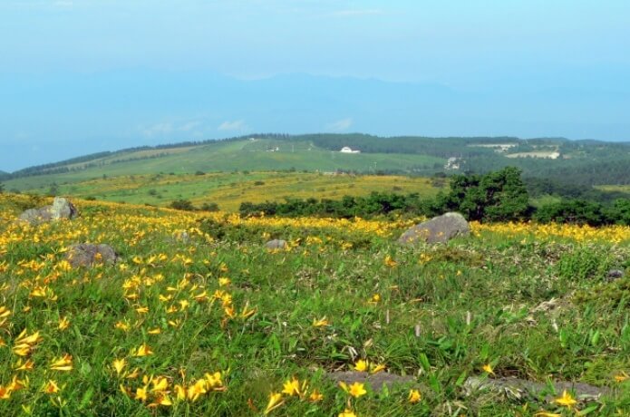 車山高原
