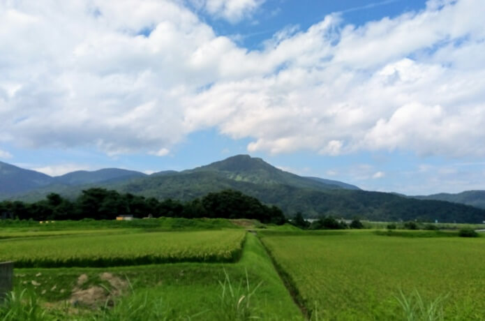 田んぼと山の景色