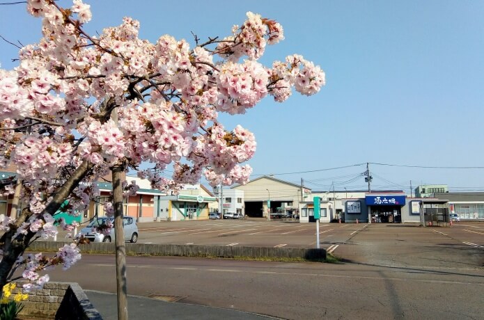 田舎の風景
