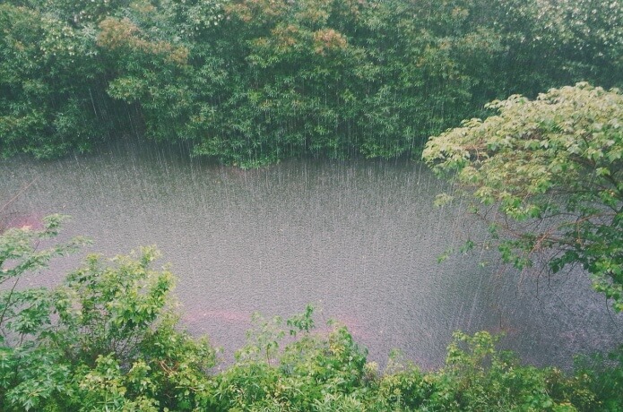 雨と小川