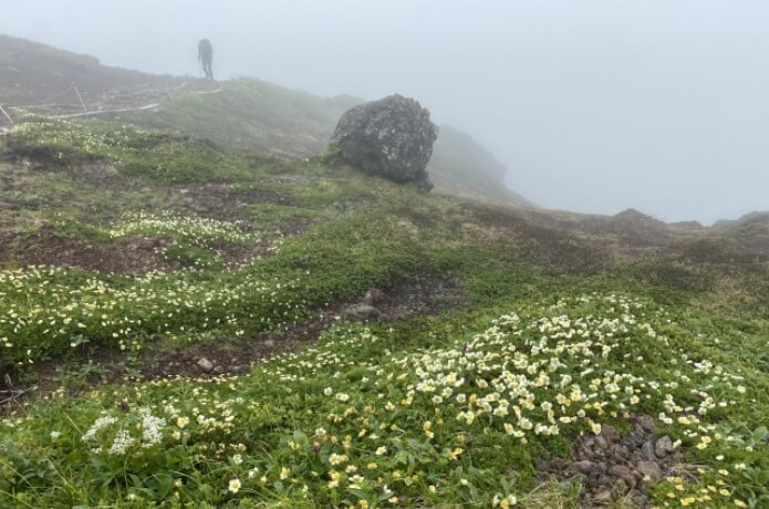 本格登山