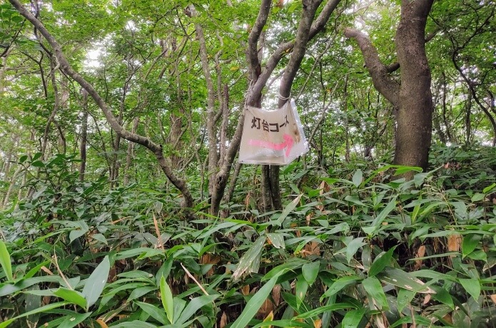 灯台コース看板