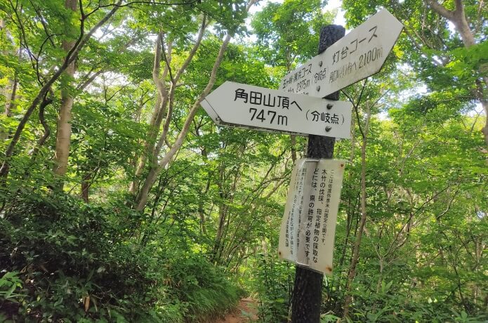 五ヶ峠分岐