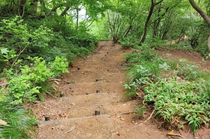 三望平後の下り