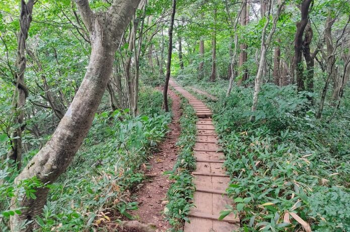 山頂間近の木道