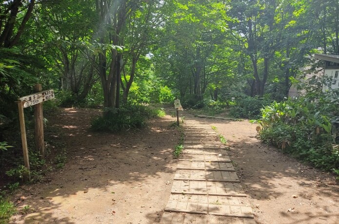 山頂から稲島コースへの道