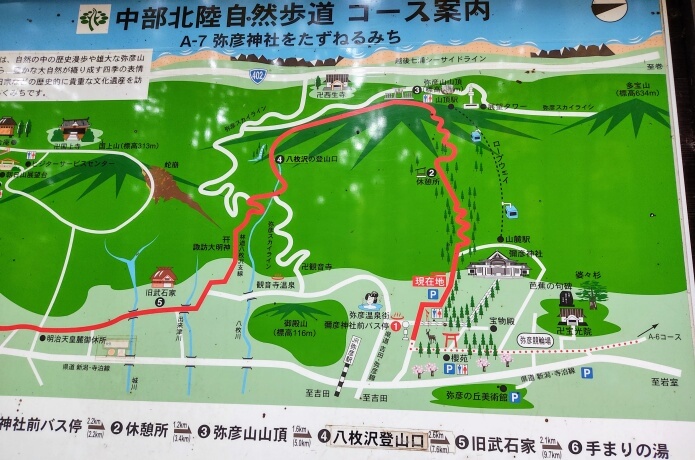 表参道コース