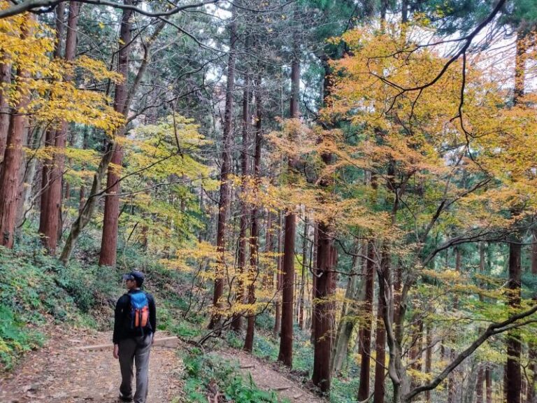 弥彦山 新潟県 表参道コースは四季を通じて人気 登山情報を解説 ころぽく