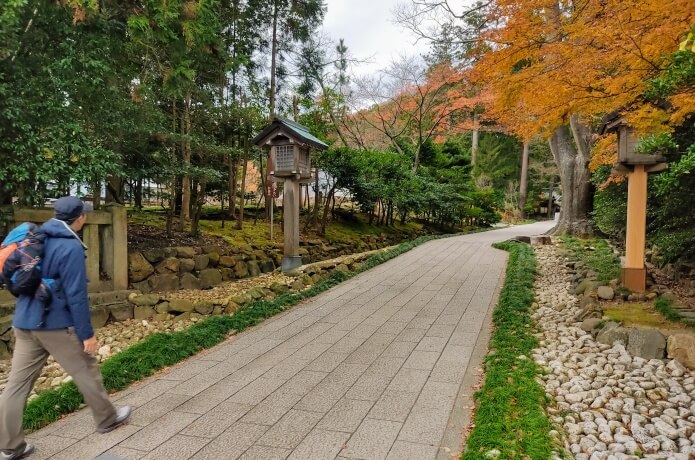 弥彦神社の境内