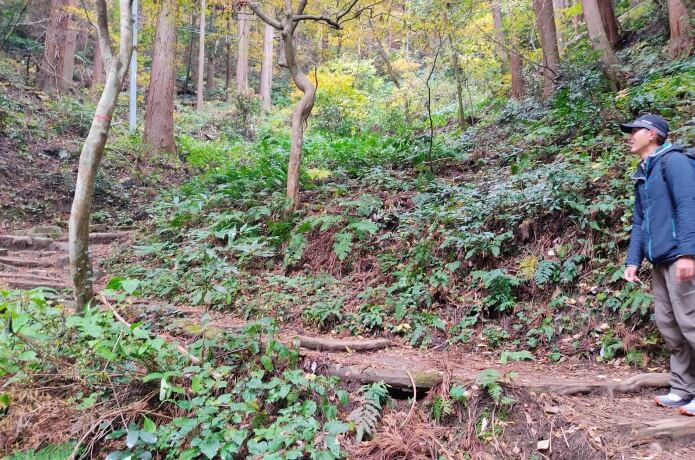 登山道の様子