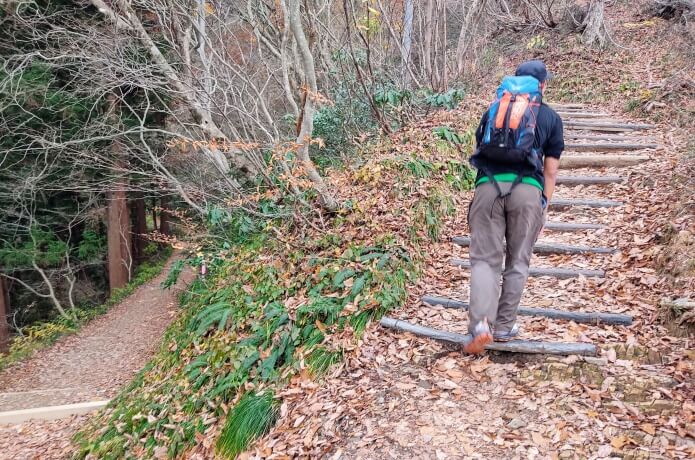 登山道の様子3