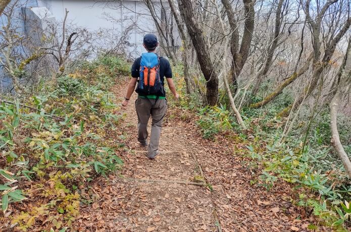 妻戸山へ向かう登山道