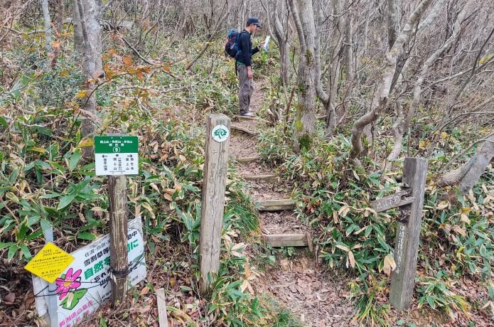 妻戸山周辺